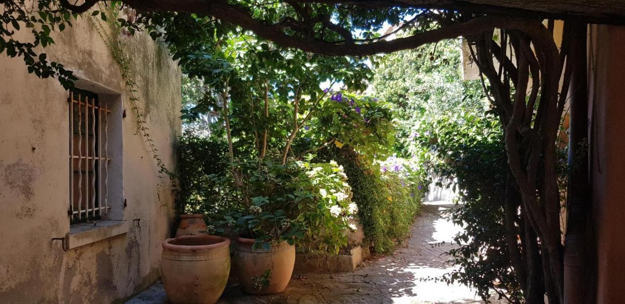 L'Odyssee Provencale, Un Duplex De Charme De 2 Chambres Au Pied Du Village Medieval De Bormes-Les-Mimosas, Offrant Des Prestations Haut De Gamme Et Une Superbe Vue Sur Le Massif Des Maures Exterior photo